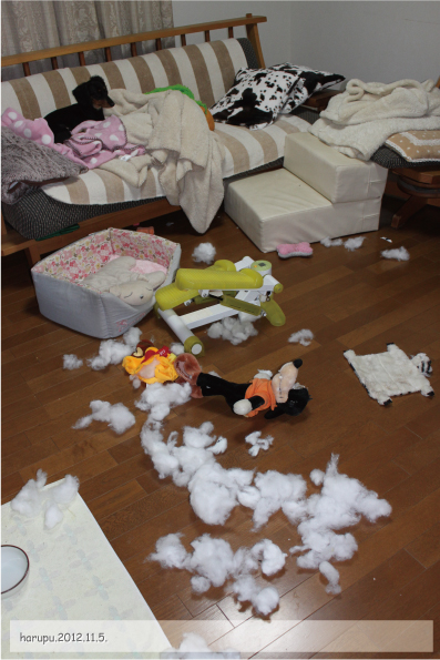 2012.11.05.-02.jpg