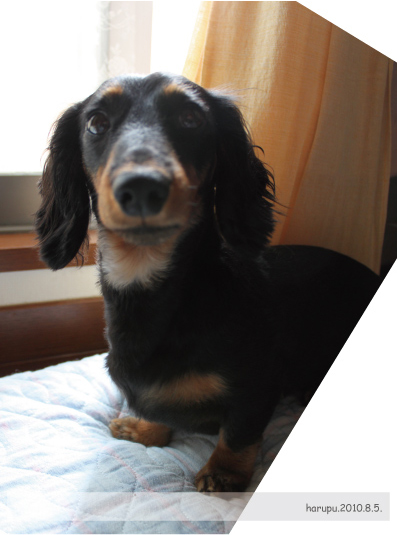 2010.08.05-001.jpg