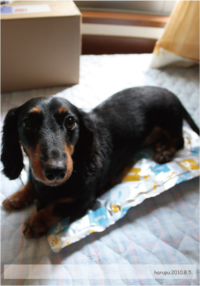 2010.08.05-04.jpg