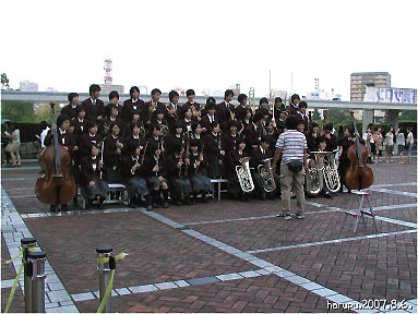 natu-no-hi-no-kobu1go.jpg